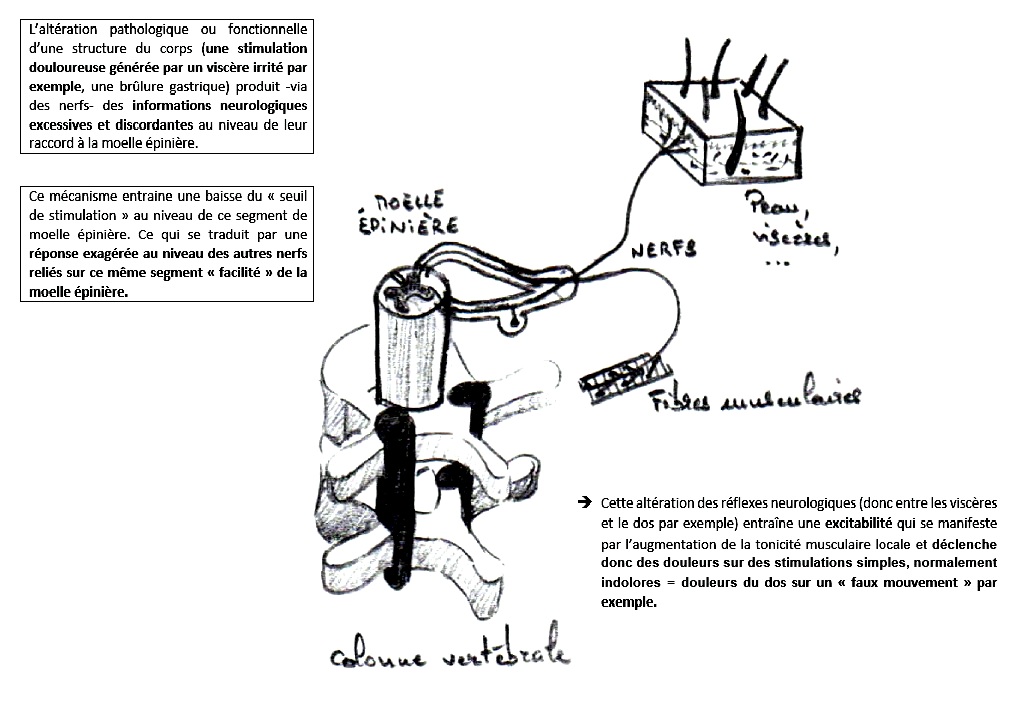 segment facilité